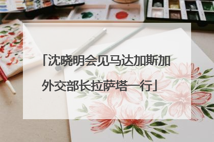 沈晓明会见马达加斯加外交部长拉萨塔一行